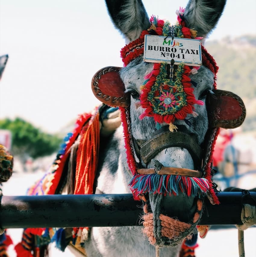 Mijas Costa properties